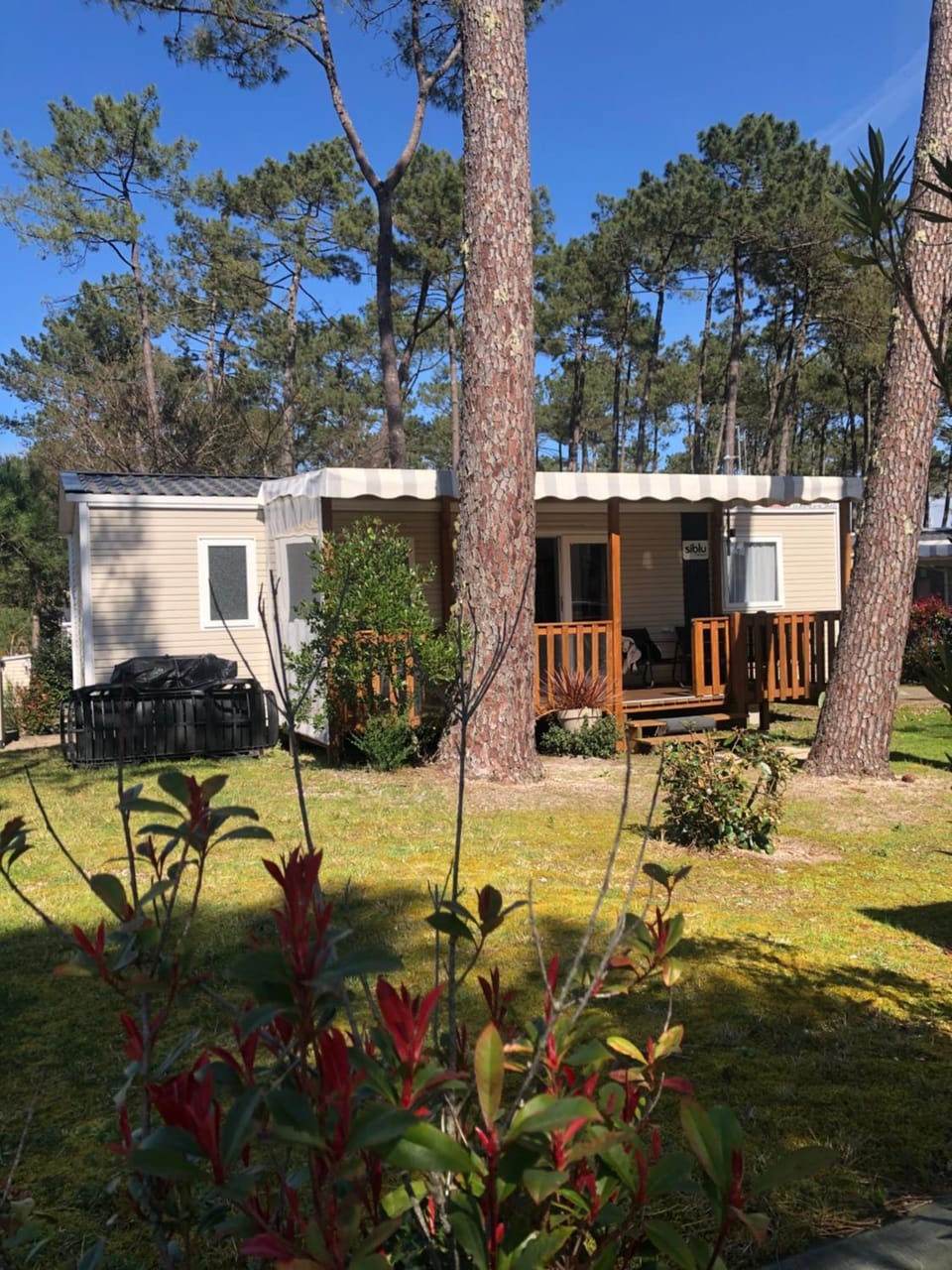 Property building, Garden view