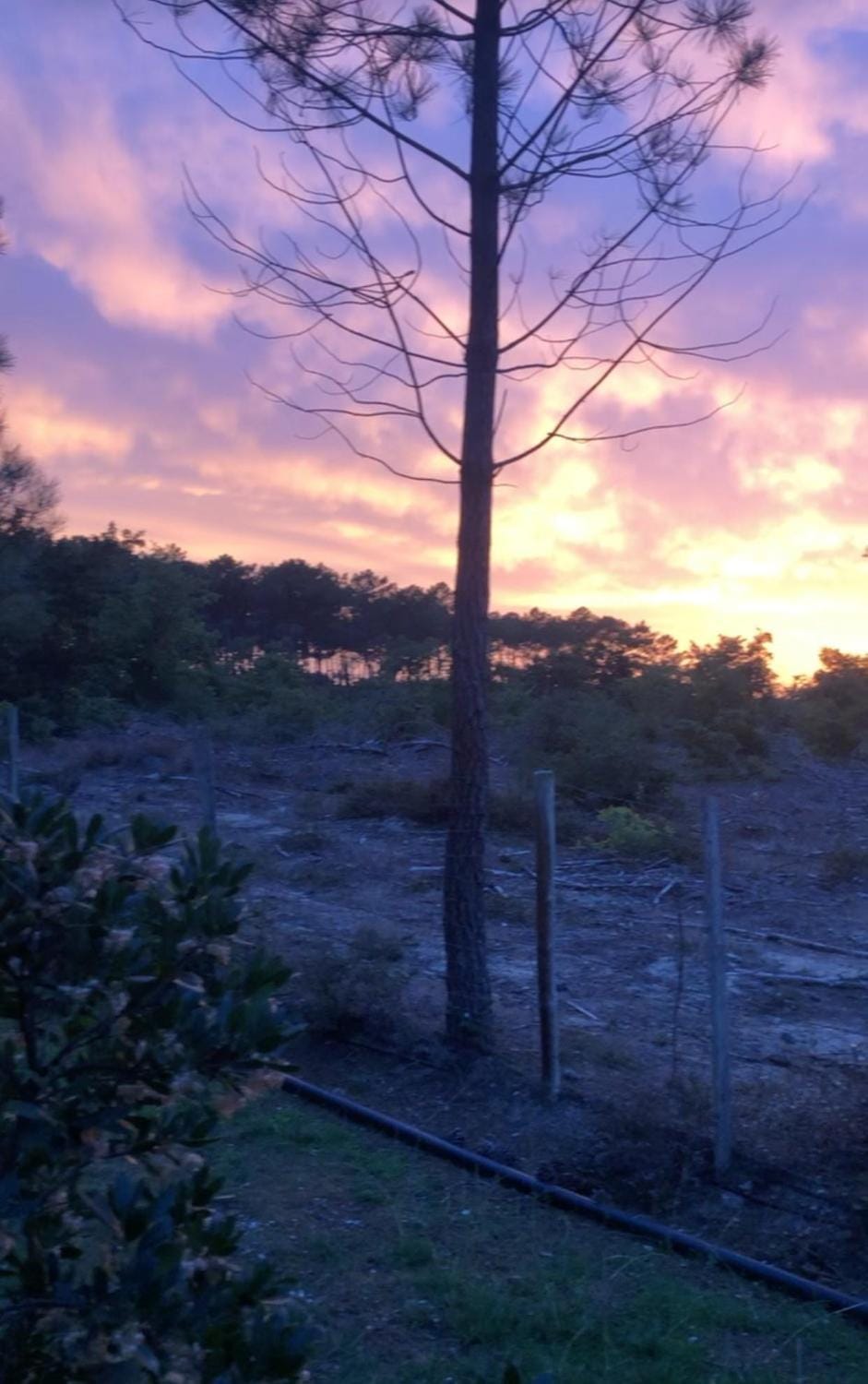 Natural landscape, Sunset