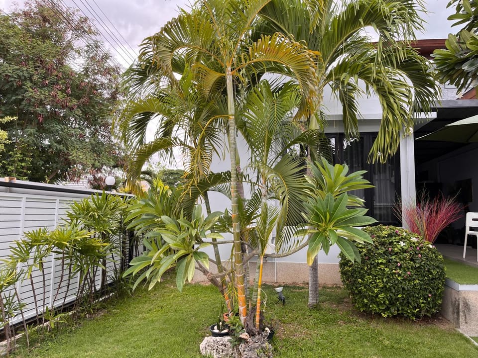 Garden, Inner courtyard view