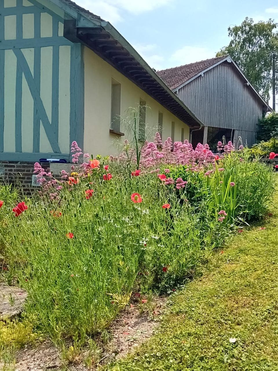 Property building, Garden