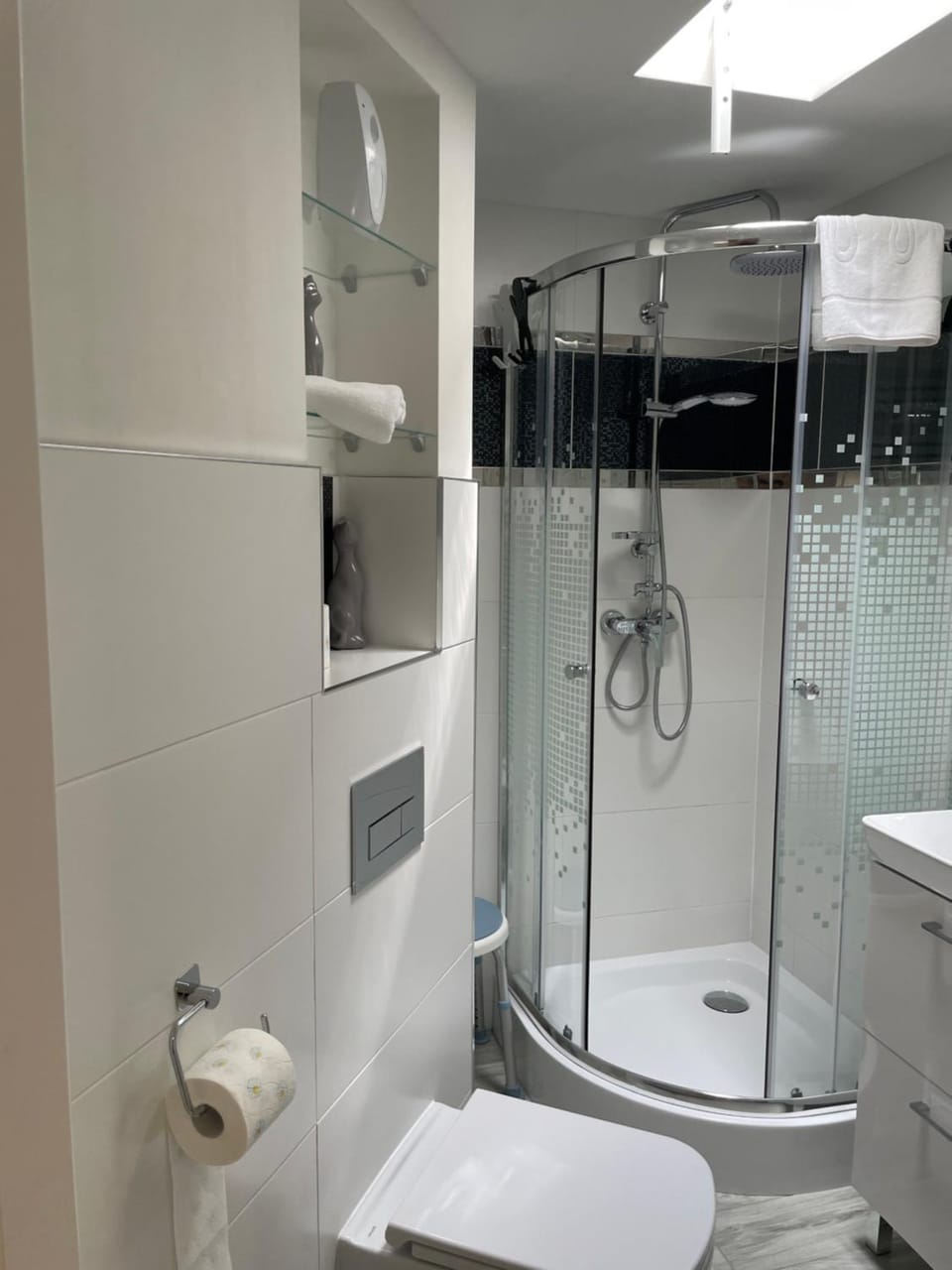 Shower, Toilet, Bathroom, towels