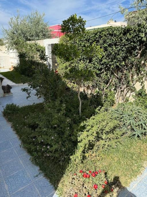 Villa in Korba 100m to the beach Villa in Tunisia