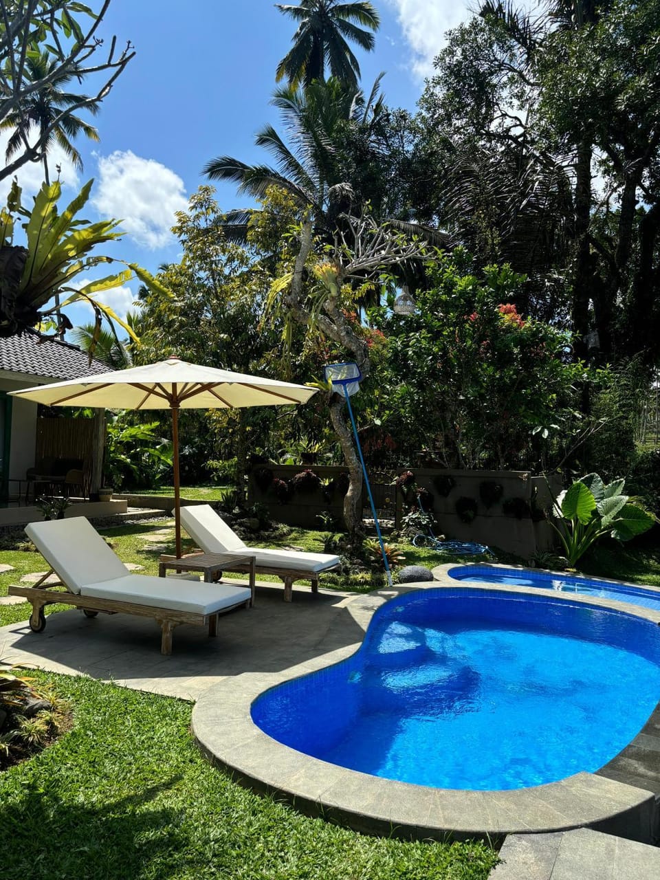 Day, Garden, View (from property/room), Garden view, Pool view, Pool view, Swimming pool, Swimming pool, Swimming pool, sunbed