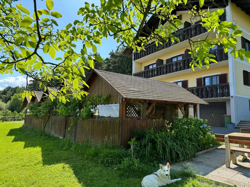 Property building, Day, Garden, Garden view