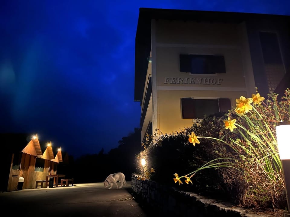 Property building, Patio, Facade/entrance, Night