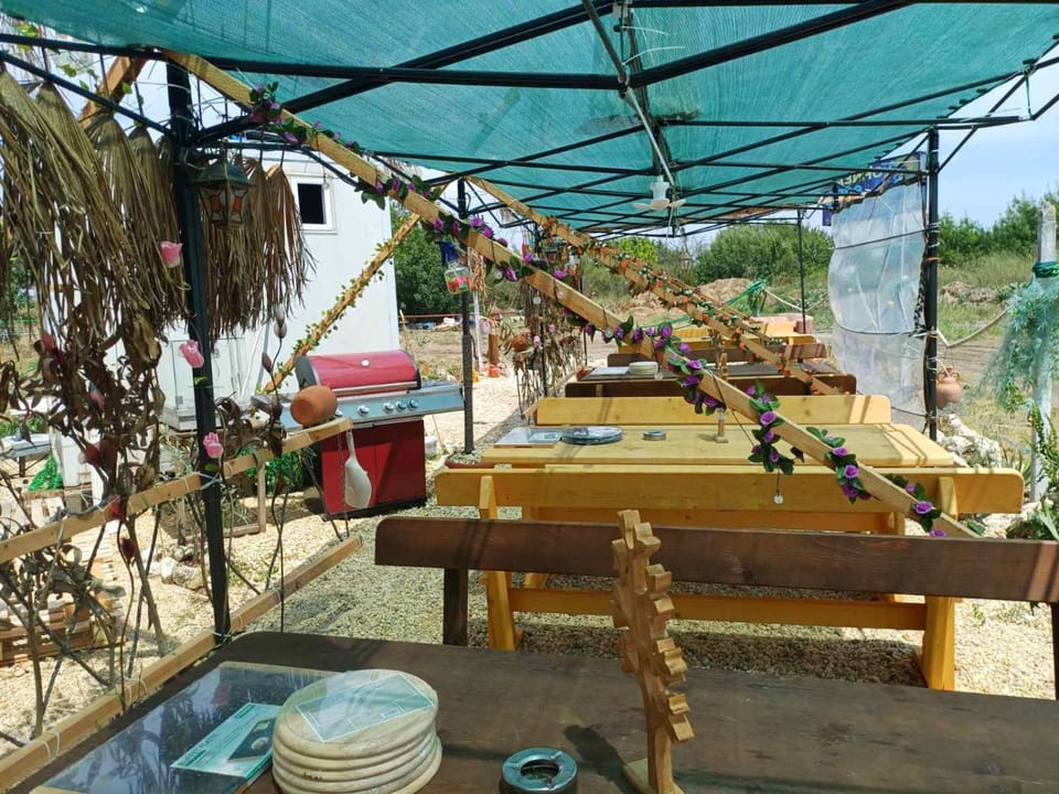 BBQ facilities, Food and drinks, Seating area