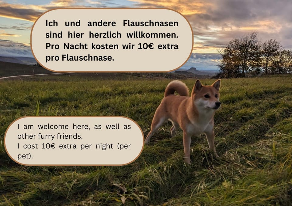 Text overlay, Pets