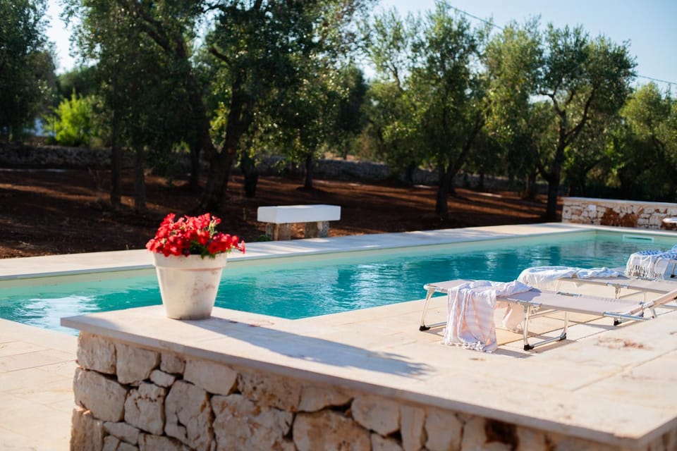 Swimming pool, sunbed