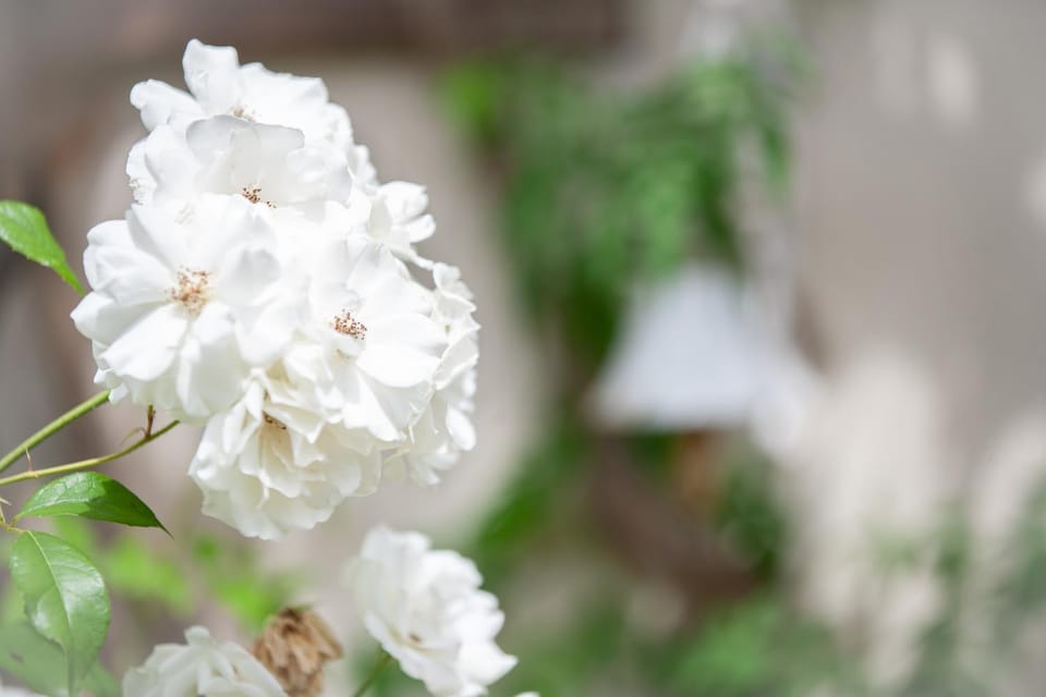Bienvenue Chez Nous House in Nouvelle-Aquitaine