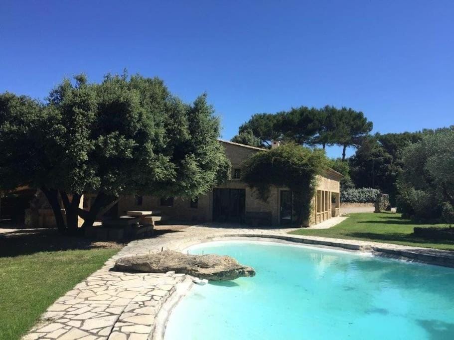 Natural landscape, Garden, Swimming pool