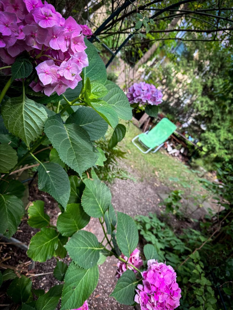 Spring, Garden, Garden view