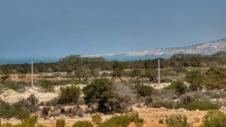 Natural landscape