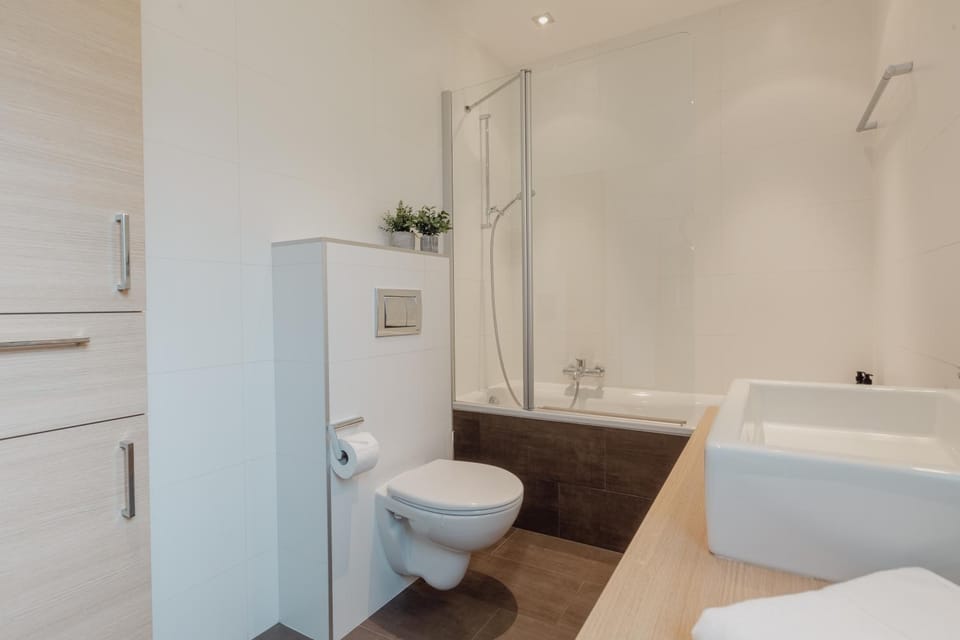 Magnifique appartement central avec vue dégagée Apartment in Riddes