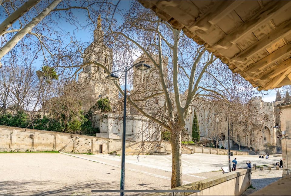 Papissime vue palais des papes clim parking Apartment in Avignon