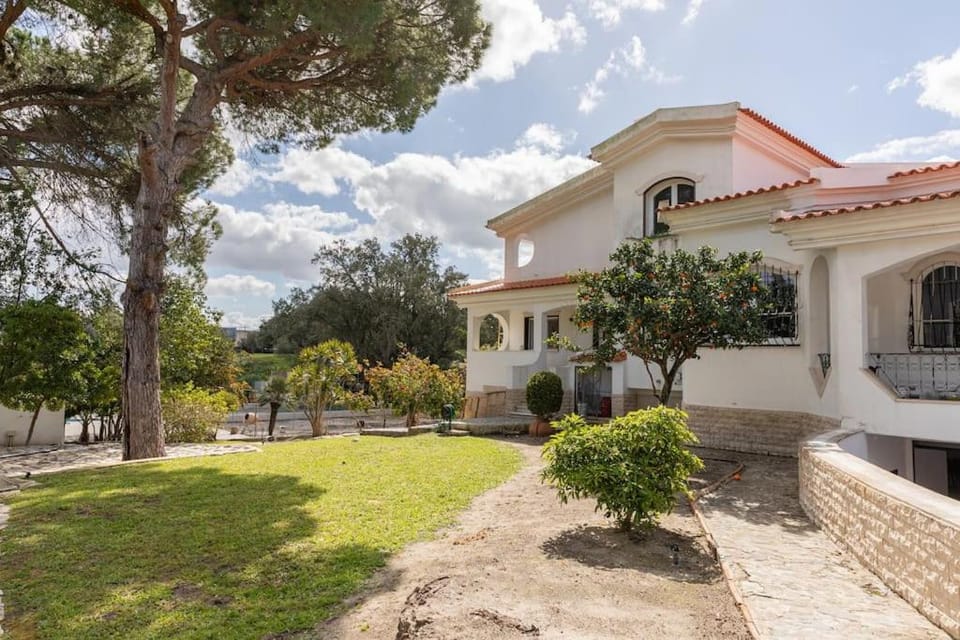 Property building, Day, Garden, Garden view