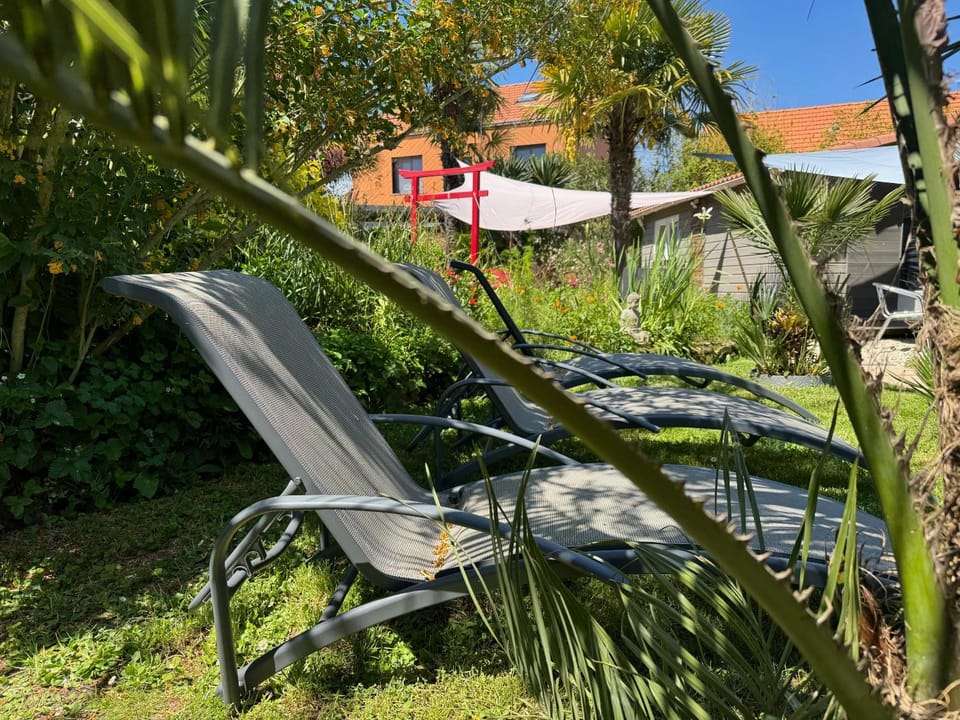 Garden, Garden view, sunbed