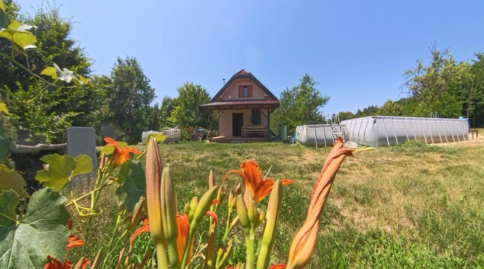 Property building, Day, Garden, Garden view