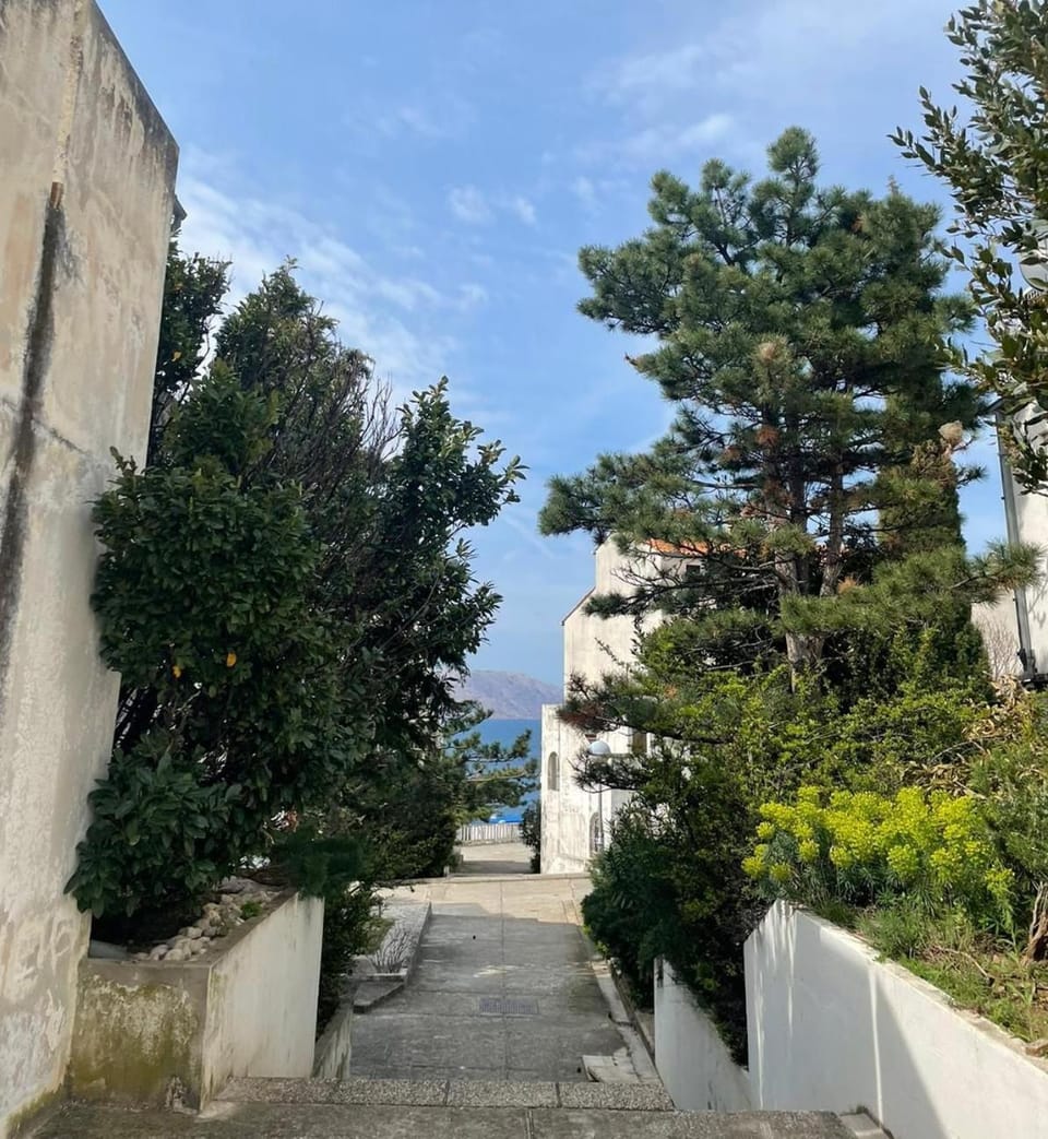 Neighbourhood