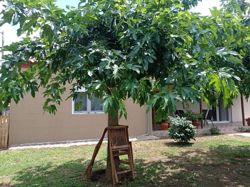 Village Nest House in Decentralized Administration of Macedonia and Thrace