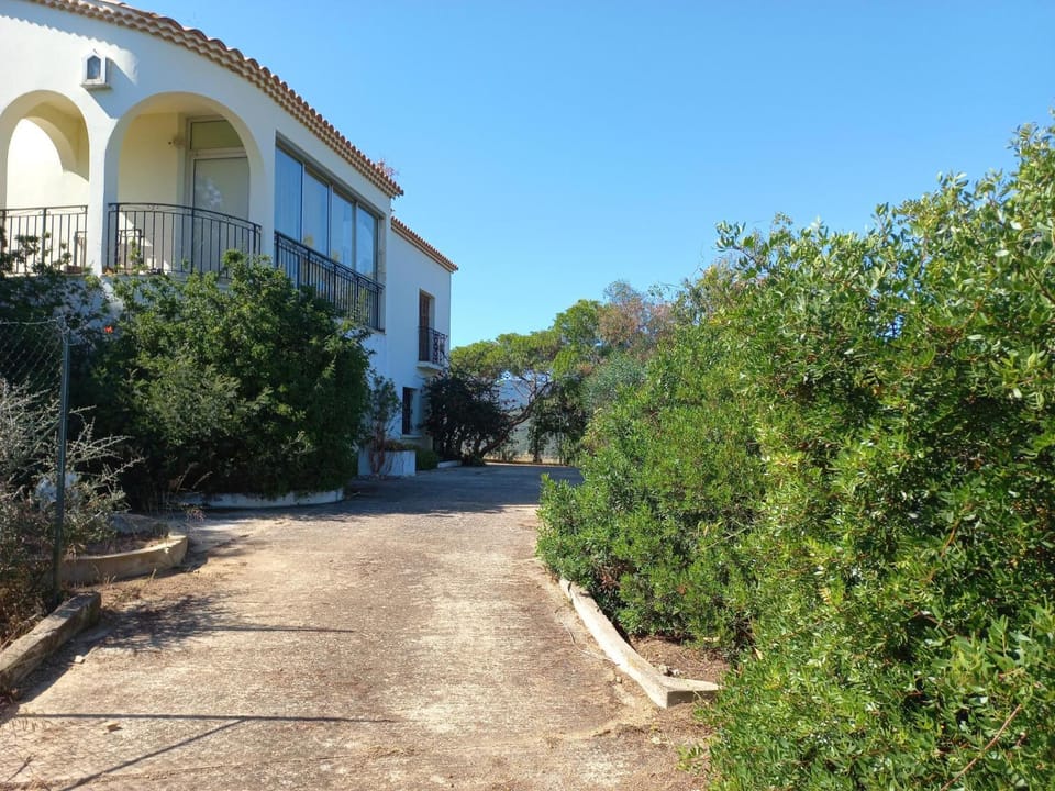 Property building, Summer
