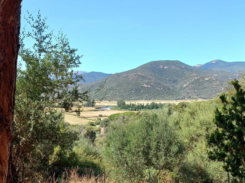 Summer, View (from property/room)