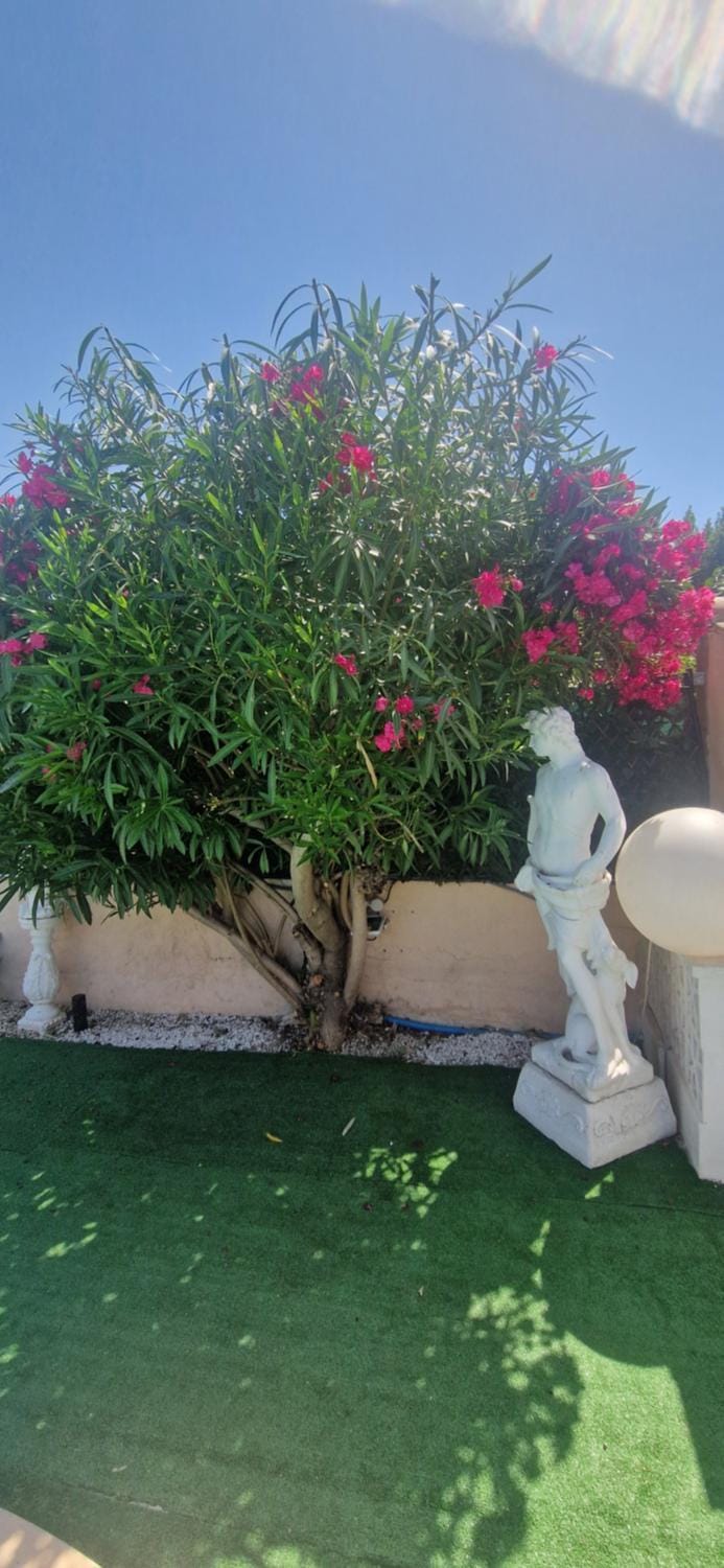 VILLA Soleil et Douceur Villa in La Seyne-sur-Mer