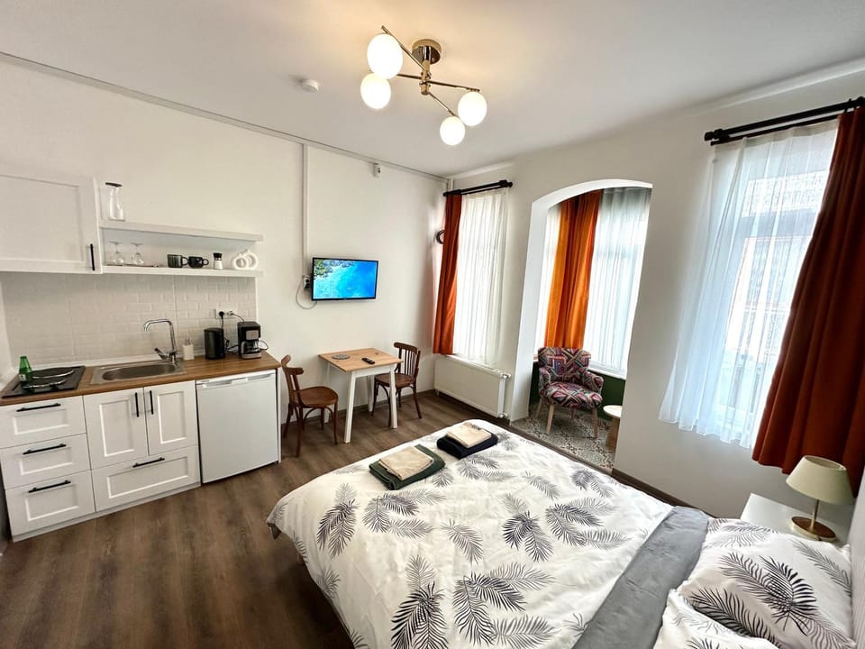 Bed, TV and multimedia, Kitchen or kitchenette, Photo of the whole room, Dining area, Bedroom, minibar, pet friendly, stove