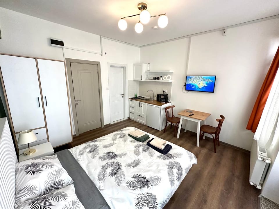 Bed, TV and multimedia, Kitchen or kitchenette, Photo of the whole room, Dining area, Bedroom, minibar, stove, wardrobe