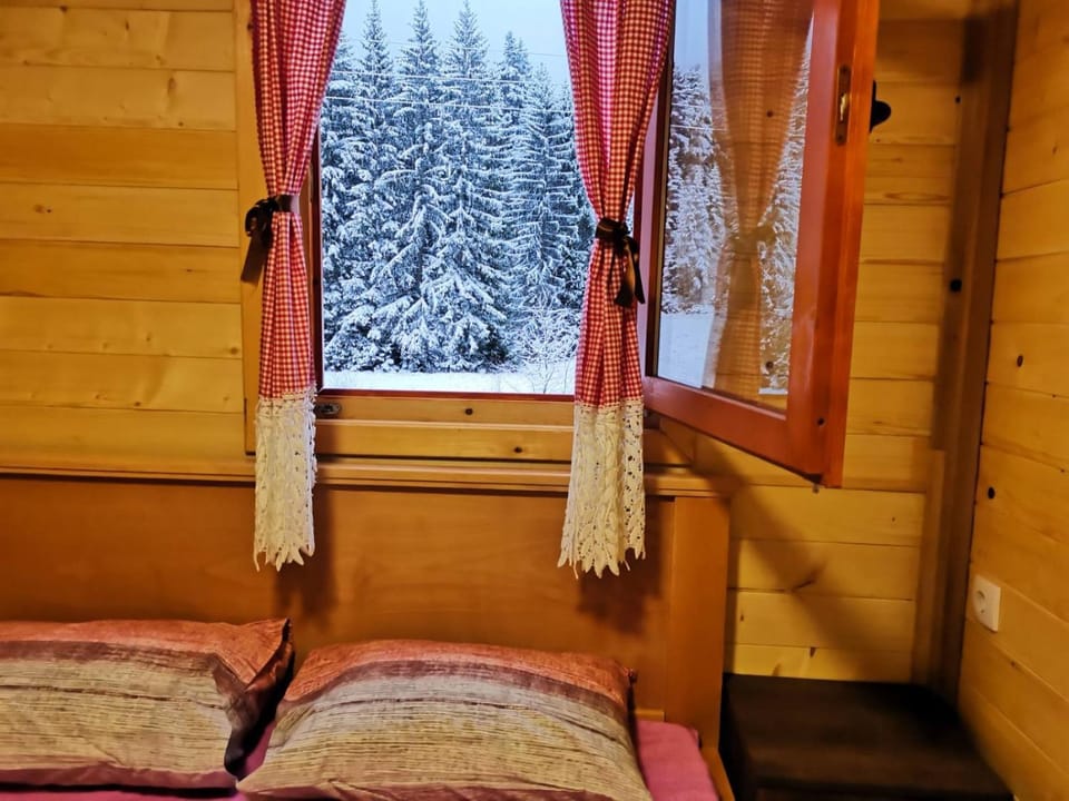 Mitrovacka Zora Apartment in Zlatibor District, Serbia