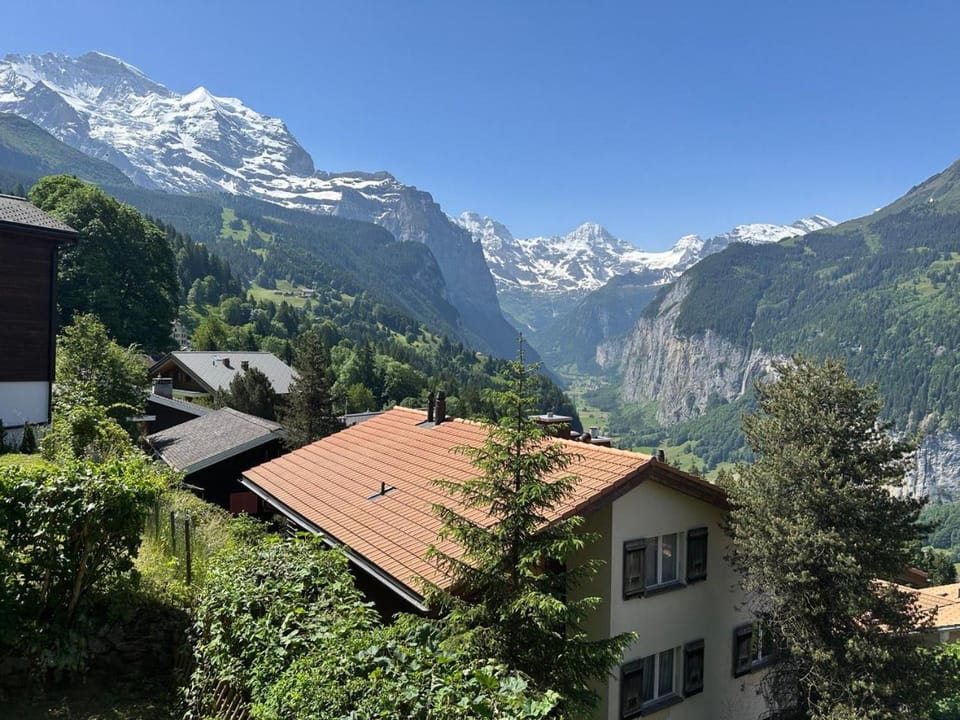 Mountain view