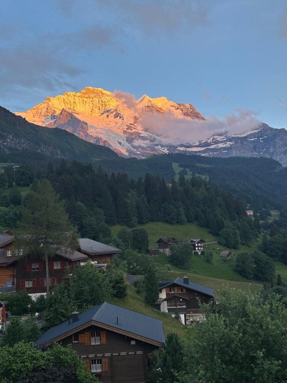 Mountain view