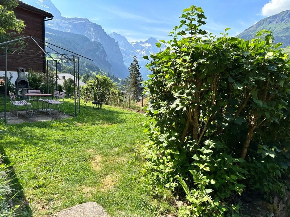 Garden, Garden view, Mountain view