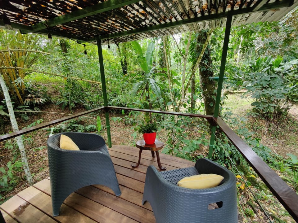 Patio, Natural landscape, Garden, View (from property/room), Balcony/Terrace, Seating area, Garden view