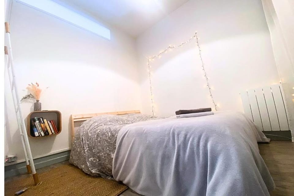 Cosy appartement proche Métro vers Gare Apartment in Villeurbanne