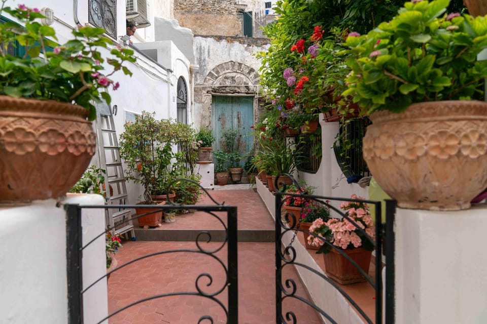 Inner courtyard view