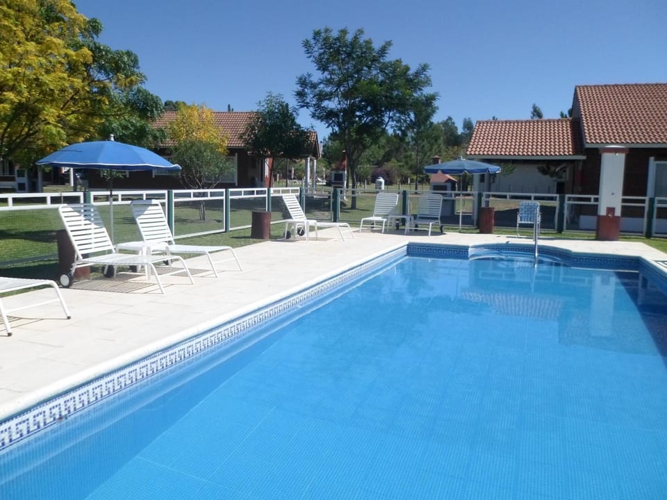 Day, Pool view, Swimming pool, sunbed