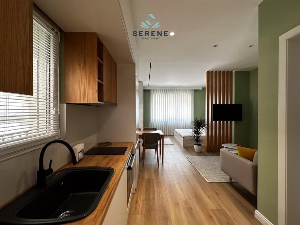 Kitchen or kitchenette, Living room, Seating area, Dining area