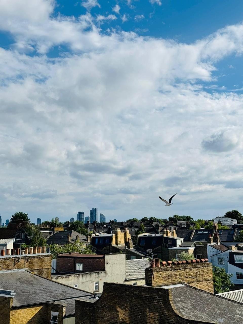 View (from property/room)