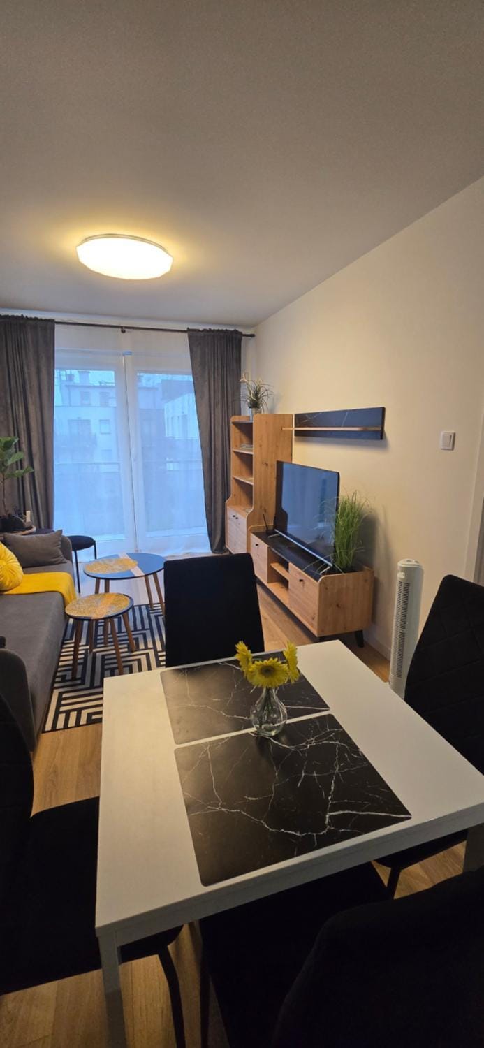 TV and multimedia, Balcony/Terrace, Balcony/Terrace, Kitchen or kitchenette, Living room, flat iron, internet