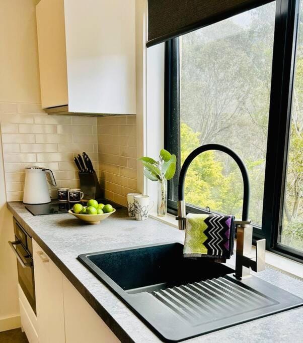 Coffee/tea facilities, Kitchen or kitchenette, stove