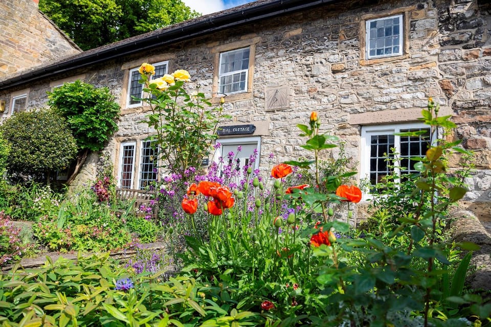 Property building, Spring, Day, Garden, Other, Garden view
