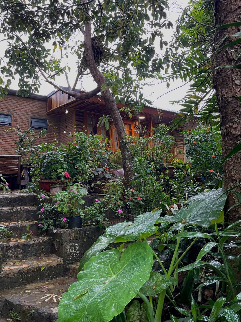 Property building, Garden