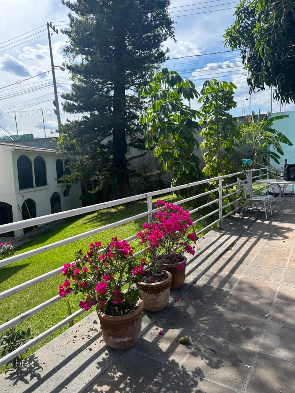 Casa Camelina Apartment in Cuernavaca