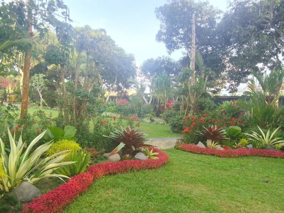 Garden view