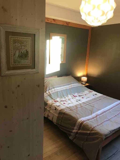 Appartement 50m2 proche du centre Praz sur arly Apartment in Megève