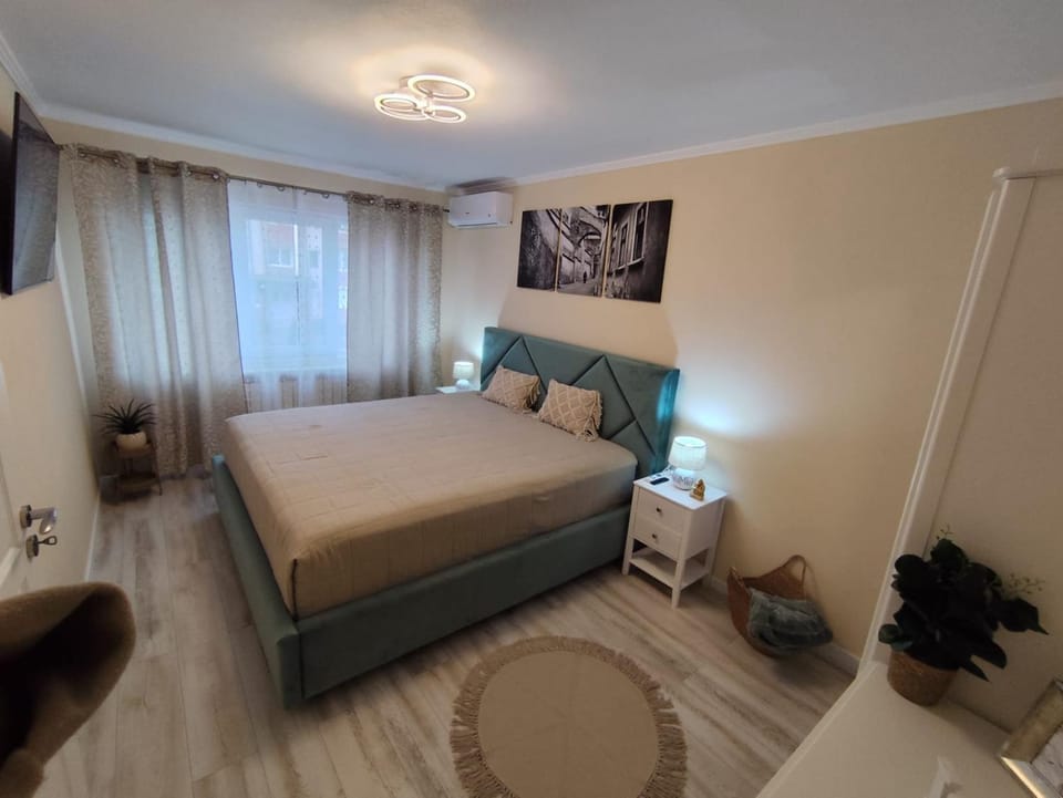 L&R Favorit Apartment Apartment in Timiș County
