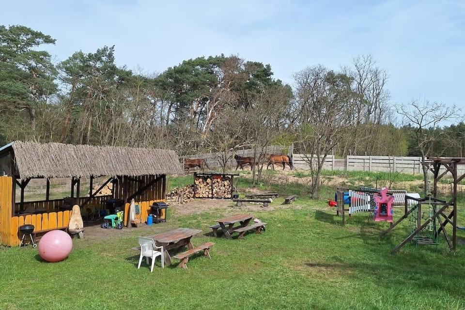 Children play ground