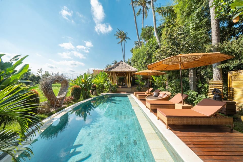 Pool view, sunbed