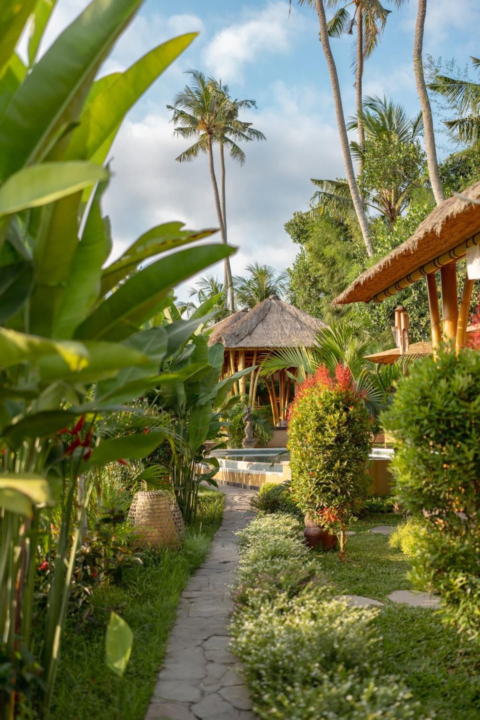 Garden view
