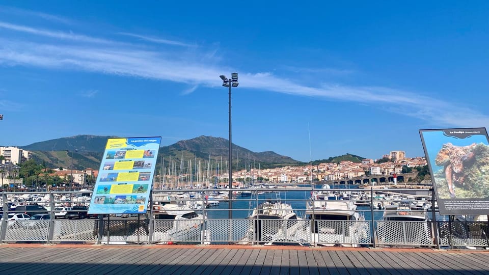 3p à Banyuls-sur-mer traversant mer-montagne Apartment in Port-Vendres